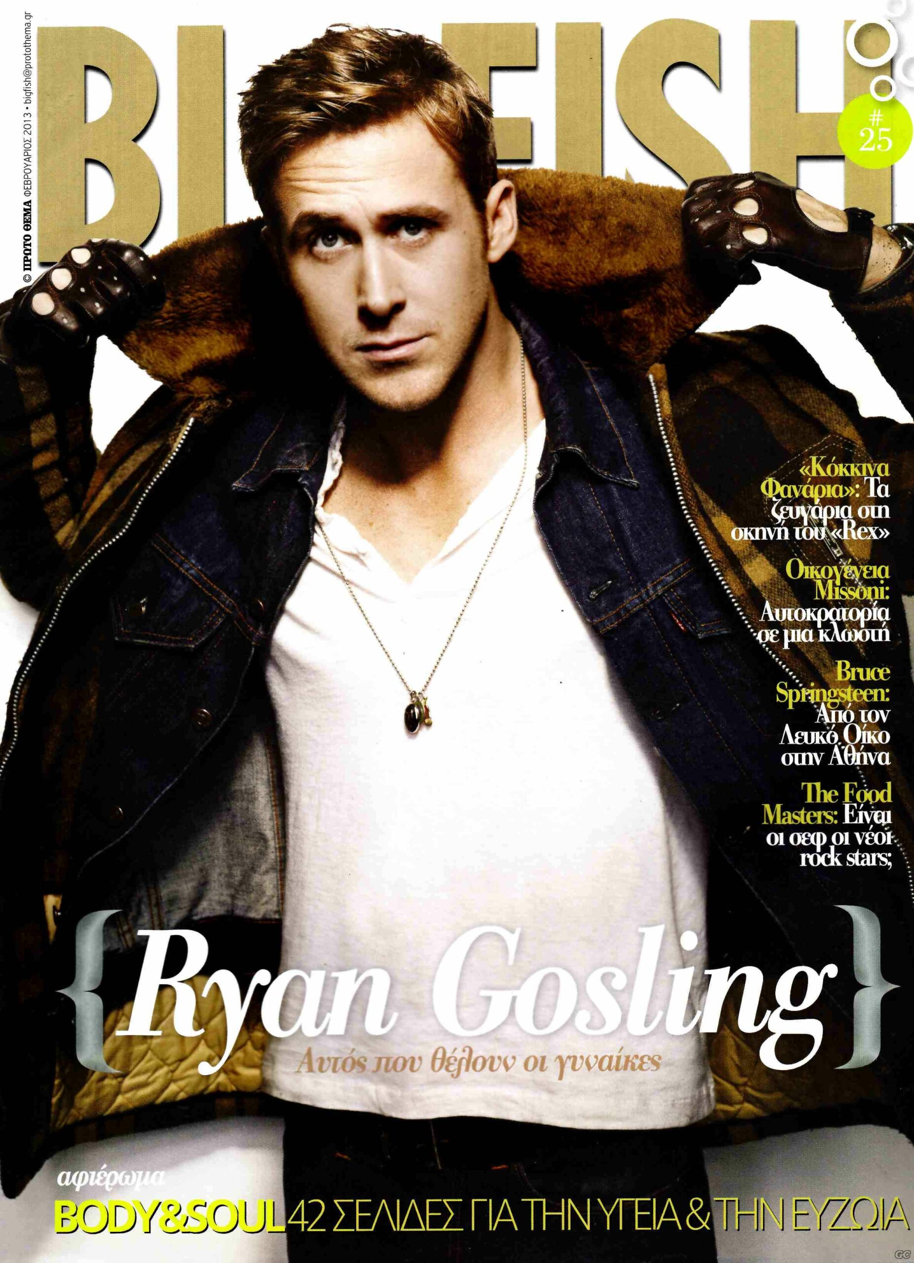 BIG FISH magazine cover Issue 25 1 February 2013