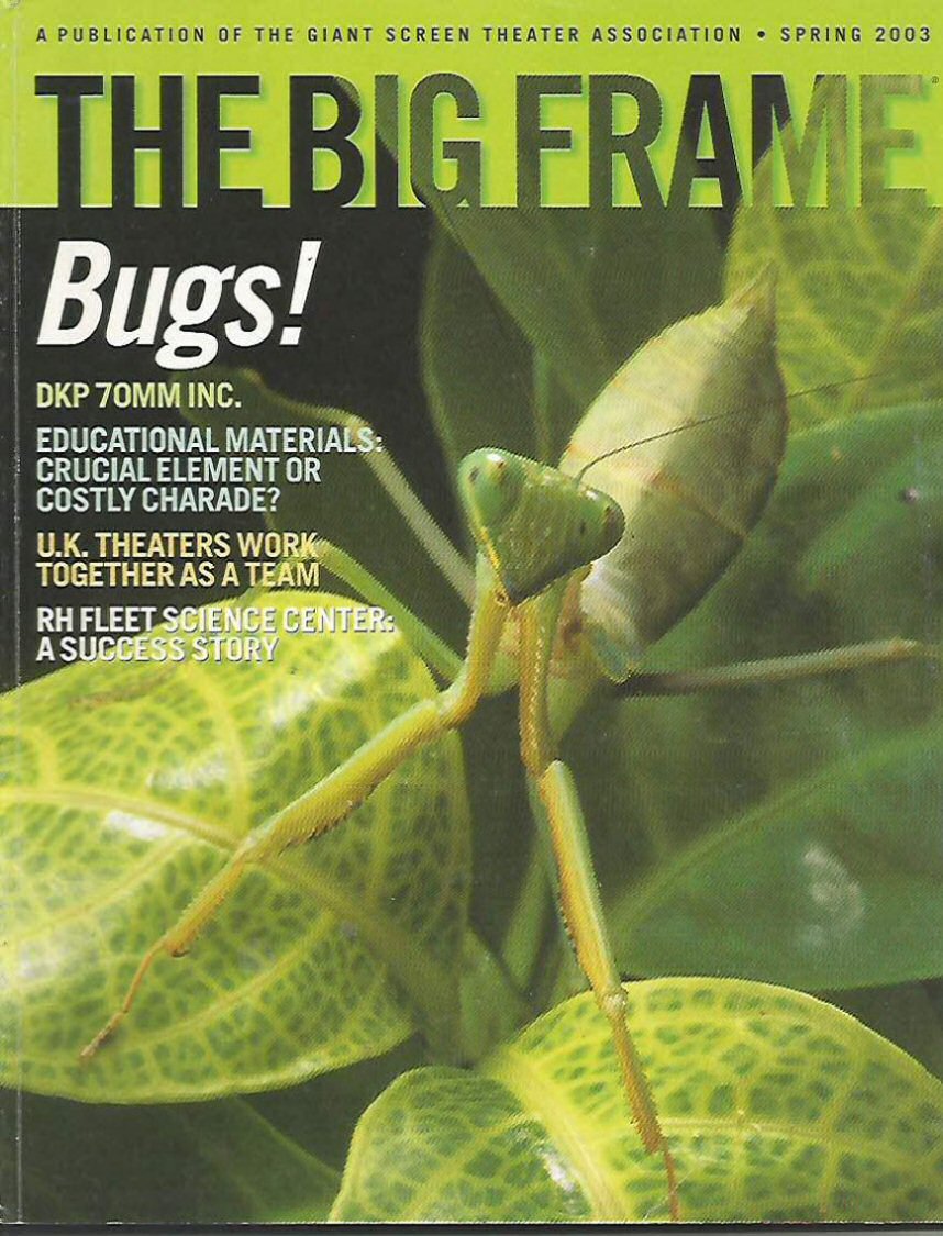 BIG FRAME magazine cover  Vol 20 No  2 Spring 2003