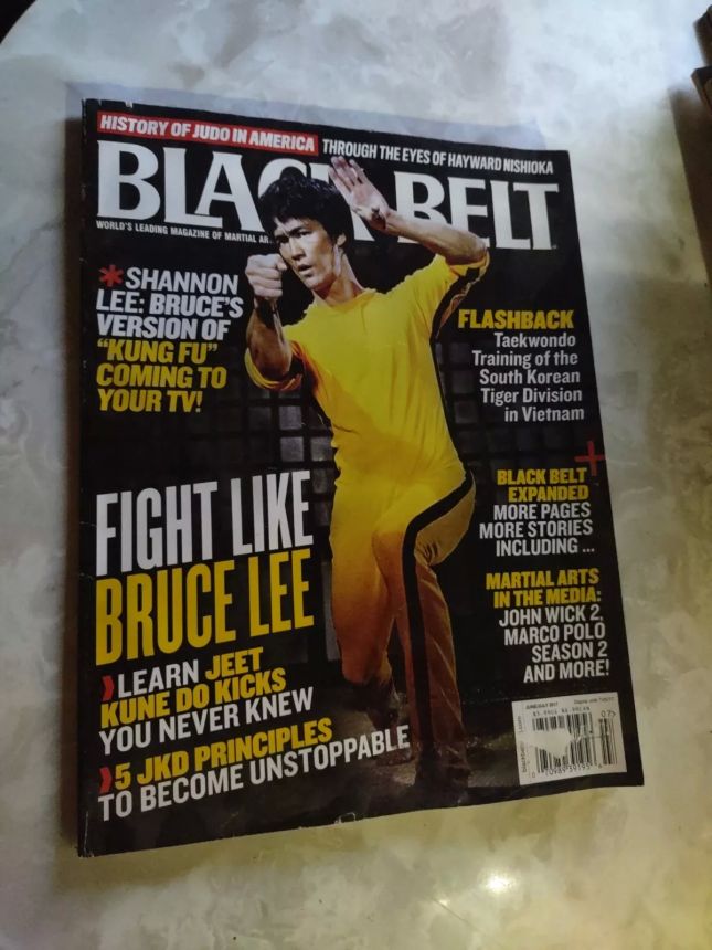 BLACK BELT magazine side cover  June/July 2017