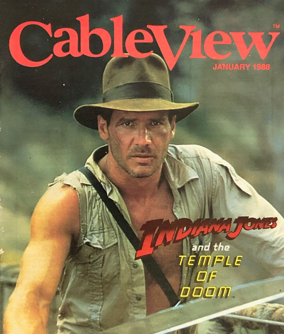 CABLEVIEW magazine cover  January 1988