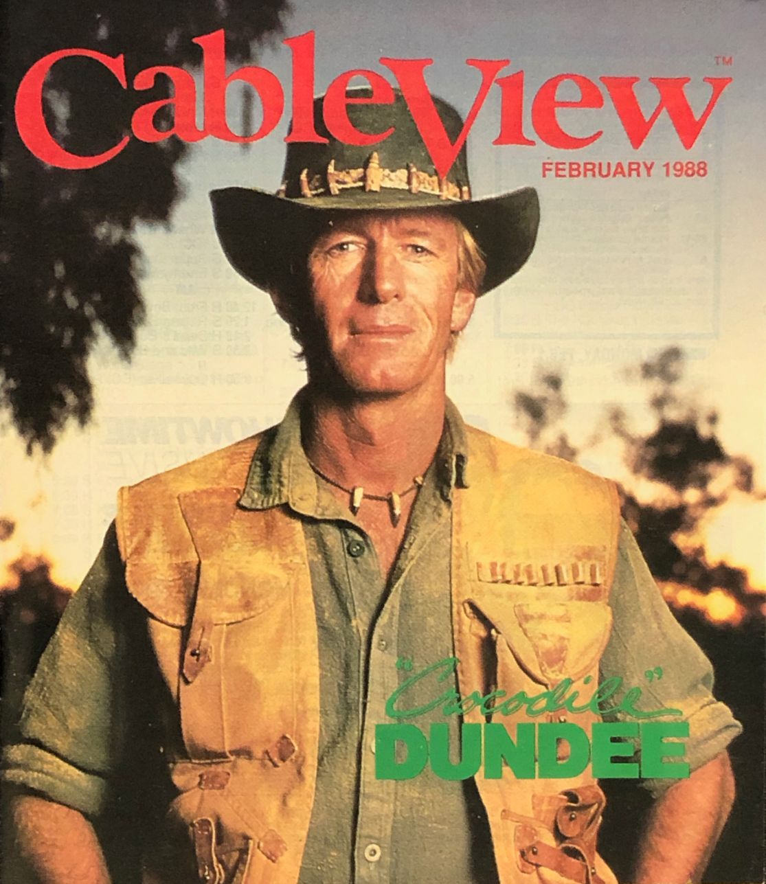 CABLEVIEW magazine cover  February 1988