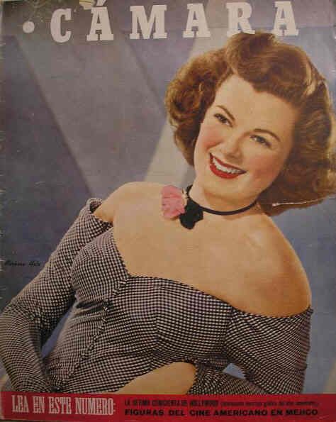 Barbara Hale