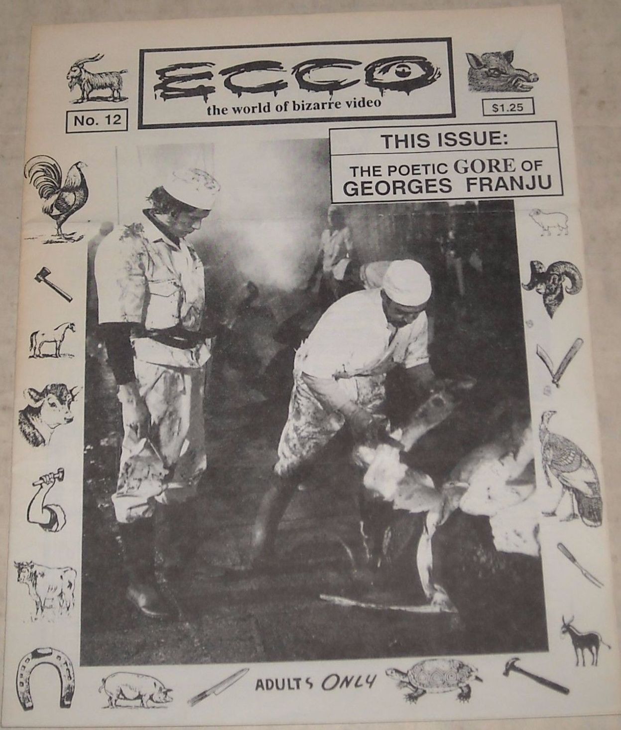 ECCO magazine cover Issue 12  1989