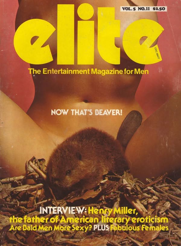 ELITE (CANADA) magazine side cover  November 1979