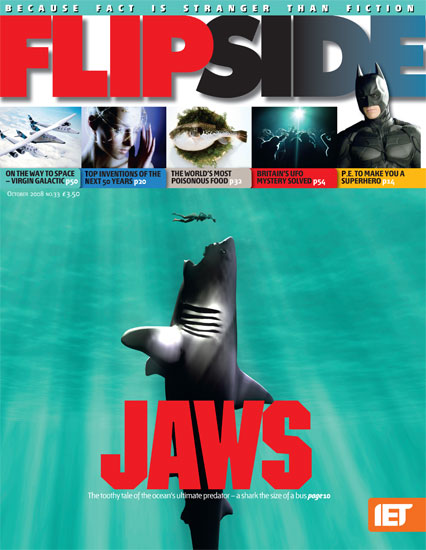 FLIP SIDE magazine cover Issue 33 October 2008
