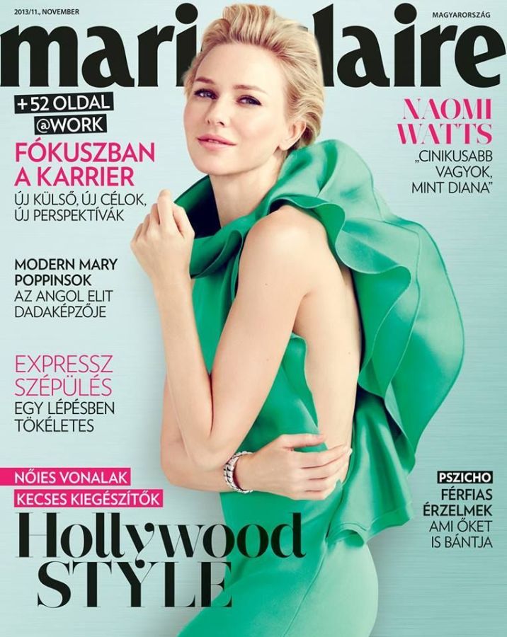 MARIE CLAIRE HUNGARY magazine cover  November 2013