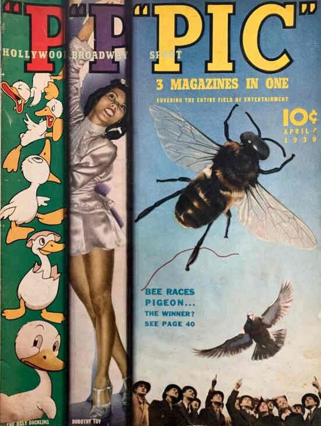 PIC magazine cover  April 1936
