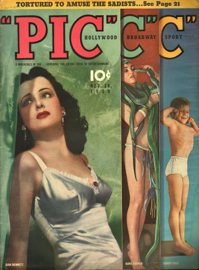 PIC magazine cover 14 November 1939
