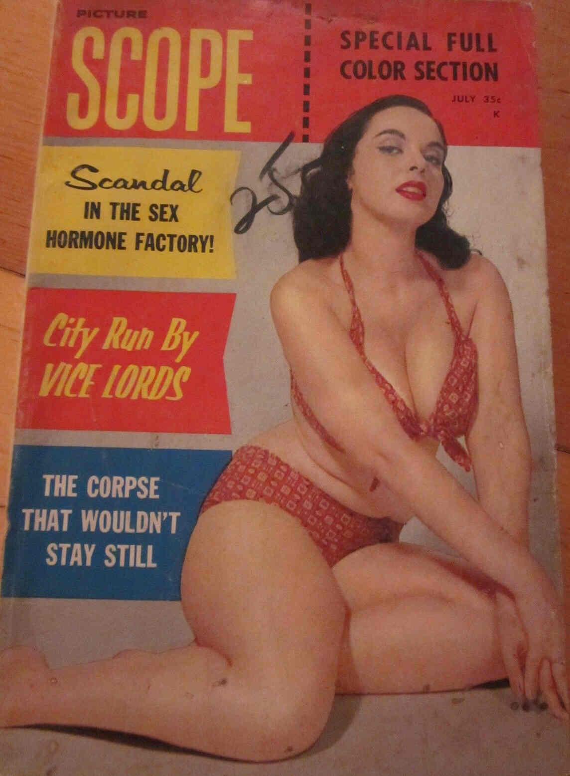 PICTURE SCOPE magazine cover July 1958