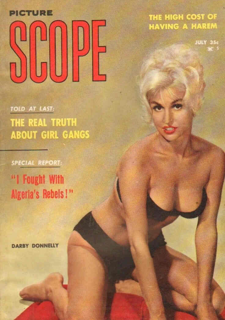 PICTURE SCOPE magazine cover July 1960