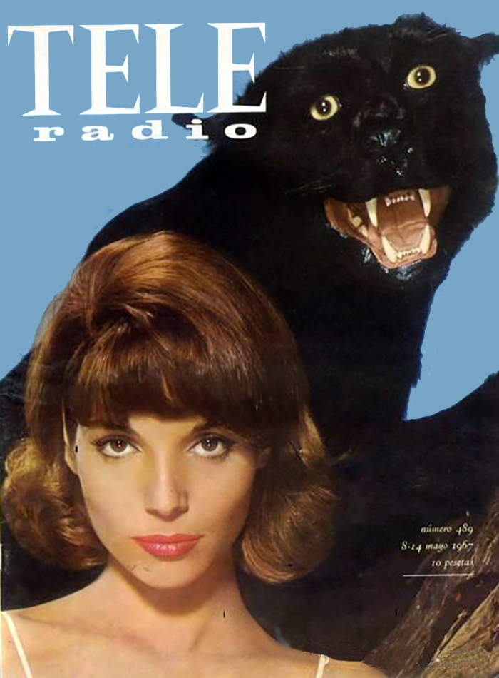 TELE RADIO magazine cover Issue 489 8 May 1967